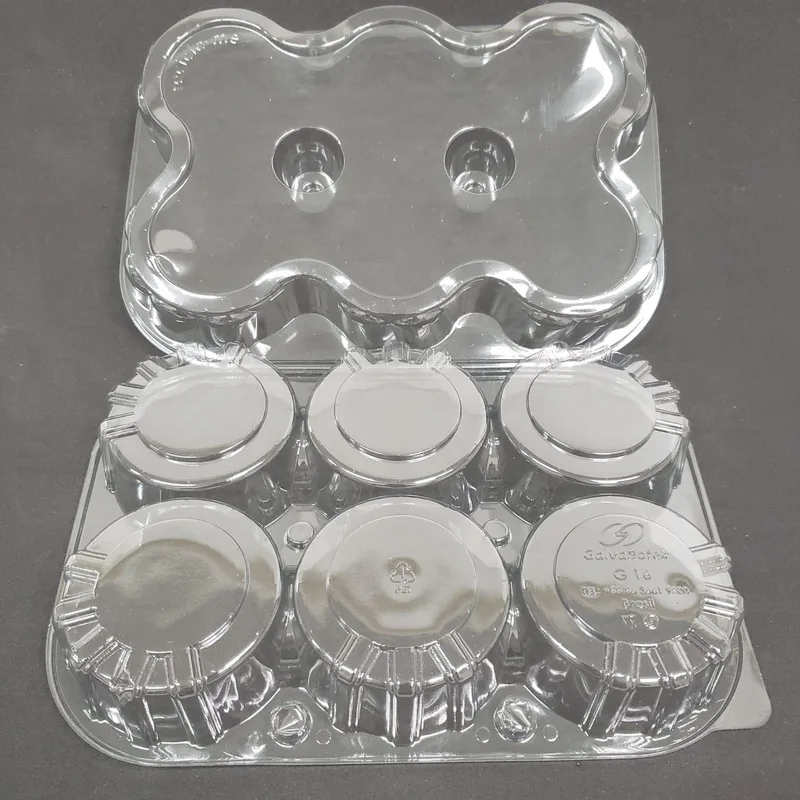 EMB. PLASTICA SEIS DOCES G16 GALVANOTEK