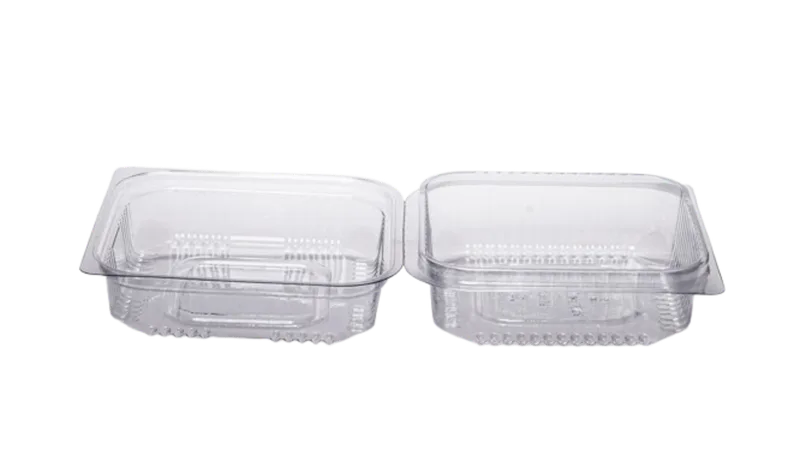 EMB. RETANG. ARTIC. BP-08 P BAIXA 16.9X9X4.5CM BIPACK