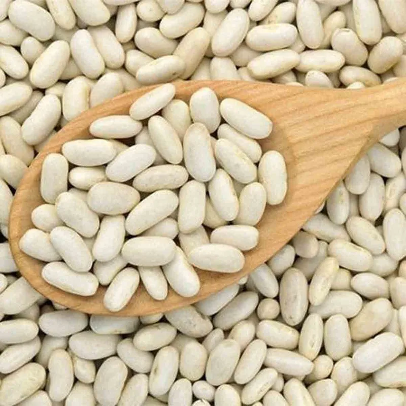 FEIJAO BRANCO SG.GLORINHA 500G