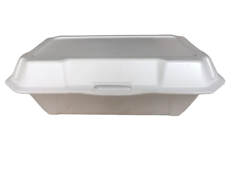 LANCHEIRA EPS HF101 23,5X16X7,5 CM
