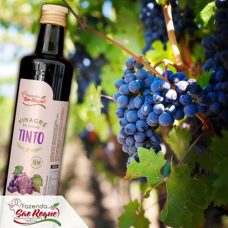 VINAGRE DE VINHO TINTO WINNA 500ML